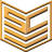 SCMD emblem