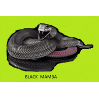 BLAMA emblem