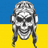 VIP-N emblem