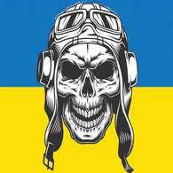VIP-N emblem
