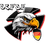 DCFDF emblem