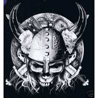 SKOLL emblem