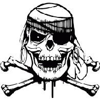 B-PIR emblem