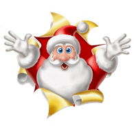 NISSE emblem