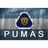 P-ARG emblem