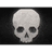 DEBT emblem