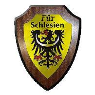 5-SSW emblem