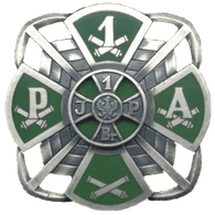 1CPA emblem