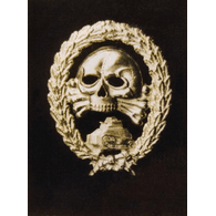DWIA emblem