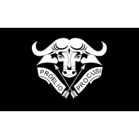 SAPE emblem