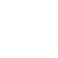 OPRY emblem