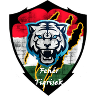 FTK45 emblem