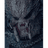 -VTJ- emblem