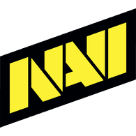 NA_VI emblem