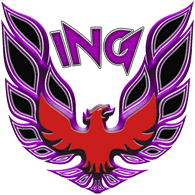 I-NG2 emblem