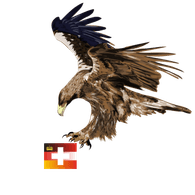 D_LE emblem
