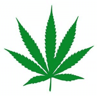 D-P_D emblem