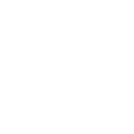 AZOIC emblem