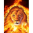 WLW emblem