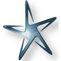 -STAR emblem