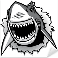 --WS- emblem
