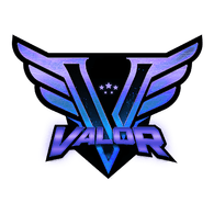 VSION emblem