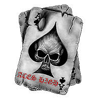 P_D_R emblem