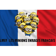 LMEF emblem