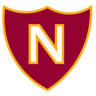 N3V emblem