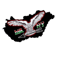 MANY emblem