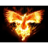 A_M_W emblem
