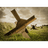 DIDAY emblem