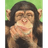 DSPZ emblem