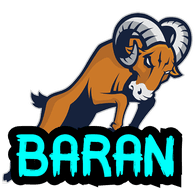 BAR4N emblem