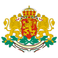 -BG emblem