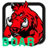 BOAR_ emblem