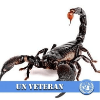 UNDOF emblem