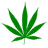 LSD_ emblem