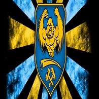 O_BS emblem