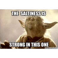 2SALT emblem