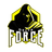 D-F-E emblem