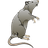 4YMKA emblem
