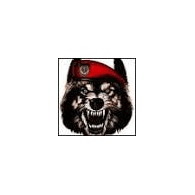 P-T-J emblem