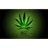 HASJ emblem