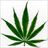 420SZ emblem