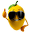 AN-KA emblem