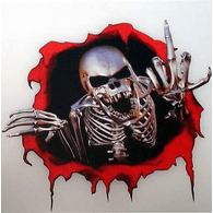 VAR emblem