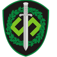 LVTIB emblem