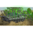 _WTM_ emblem