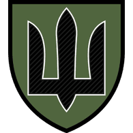 -N1P- emblem